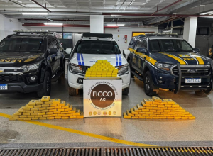 431613f0-8058-4ddd-9824-63dd27bdb5ae (1)