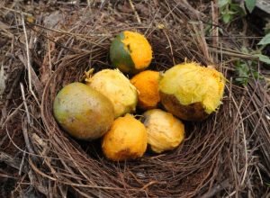 xr:d:DAF-7tLSqcQ:5,j:6386525345574319458,t:24030822