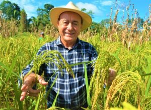 Produzir para Empregar Bocalom destaca R$ 250 milhões em investimentos na agricultura - Diário do Acre