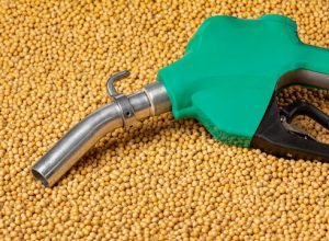 biodiesel.jpg