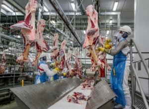 carne-rondonia.jpg
