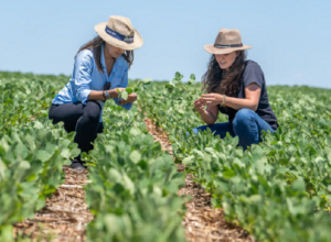 mulheres-agro.png